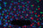 QTX PAR-T Bar: LED Party Bar and Stand Kit - view 9