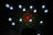 QTX Butterfly: 3-in-1 LED & Laser Effect - view 11
