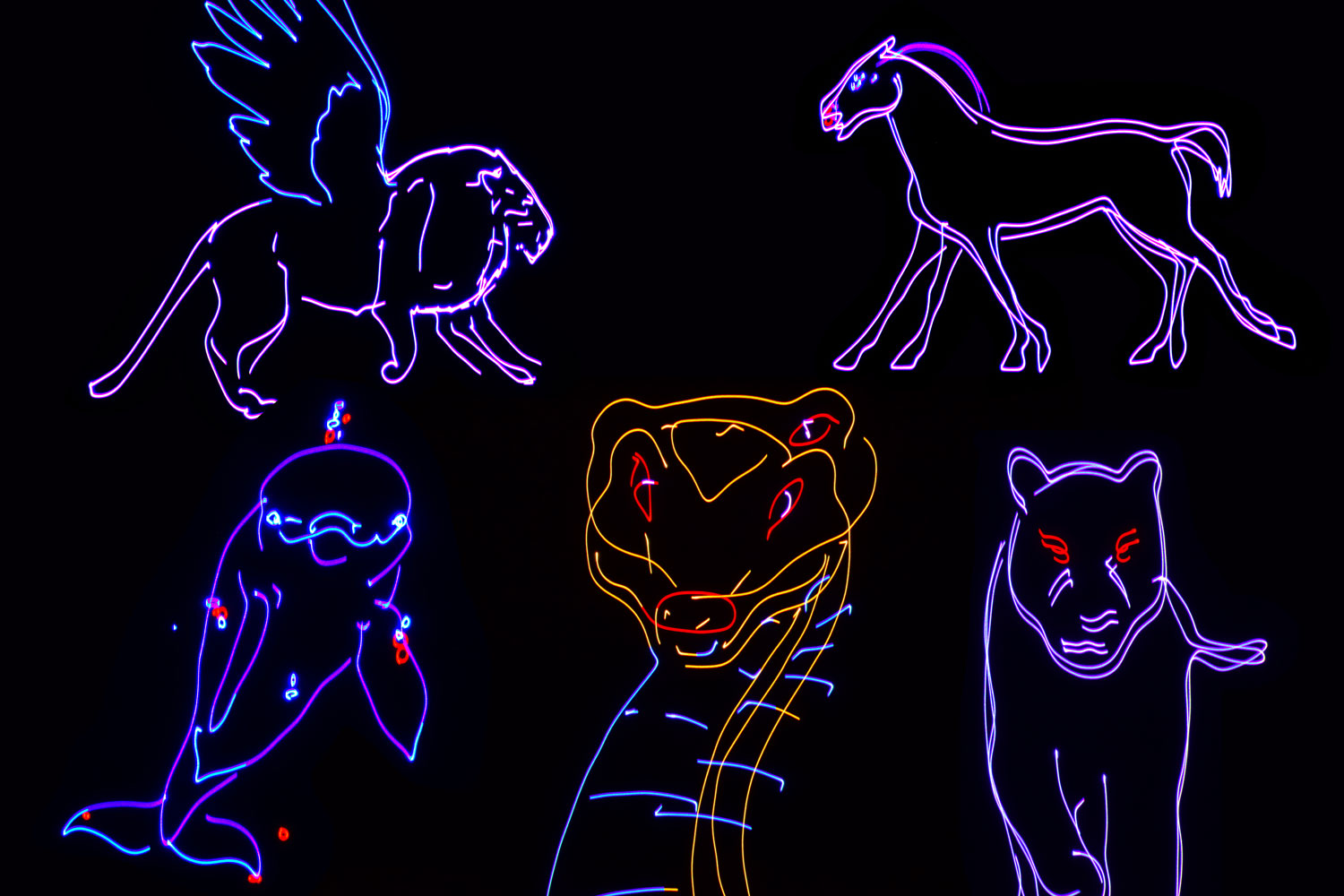 Citronic RGB Smart Animation Laser - view 8