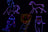 Citronic RGB Smart Animation Laser - view 8
