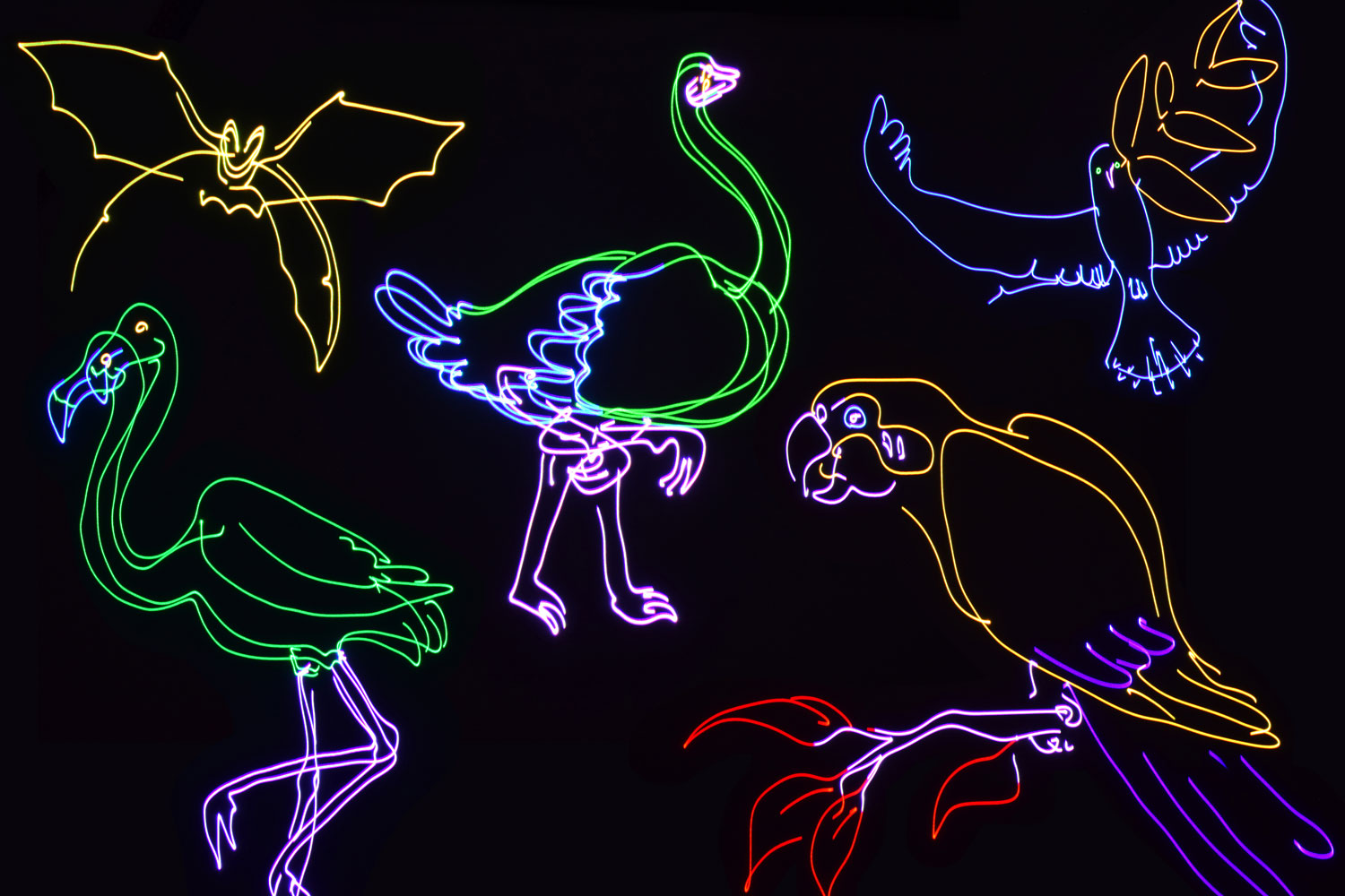 Citronic RGB Smart Animation Laser - view 6