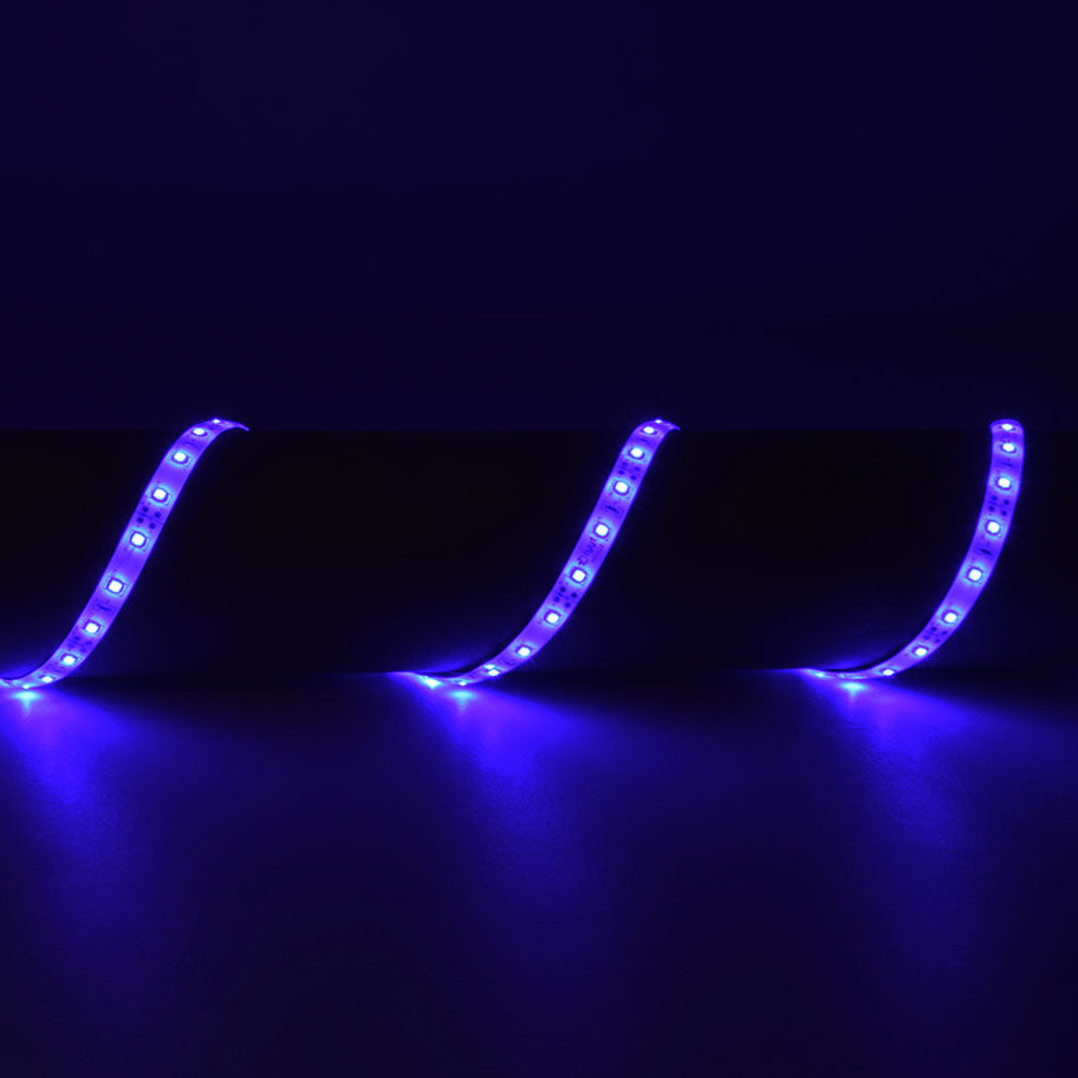 LYYT SMD LED tape kit 5m - Blue - view 3