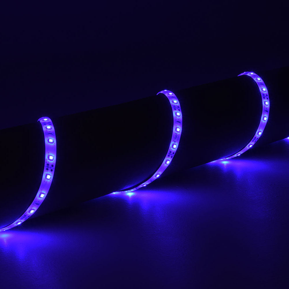 LYYT SMD LED tape kit 5m - Blue - view 5