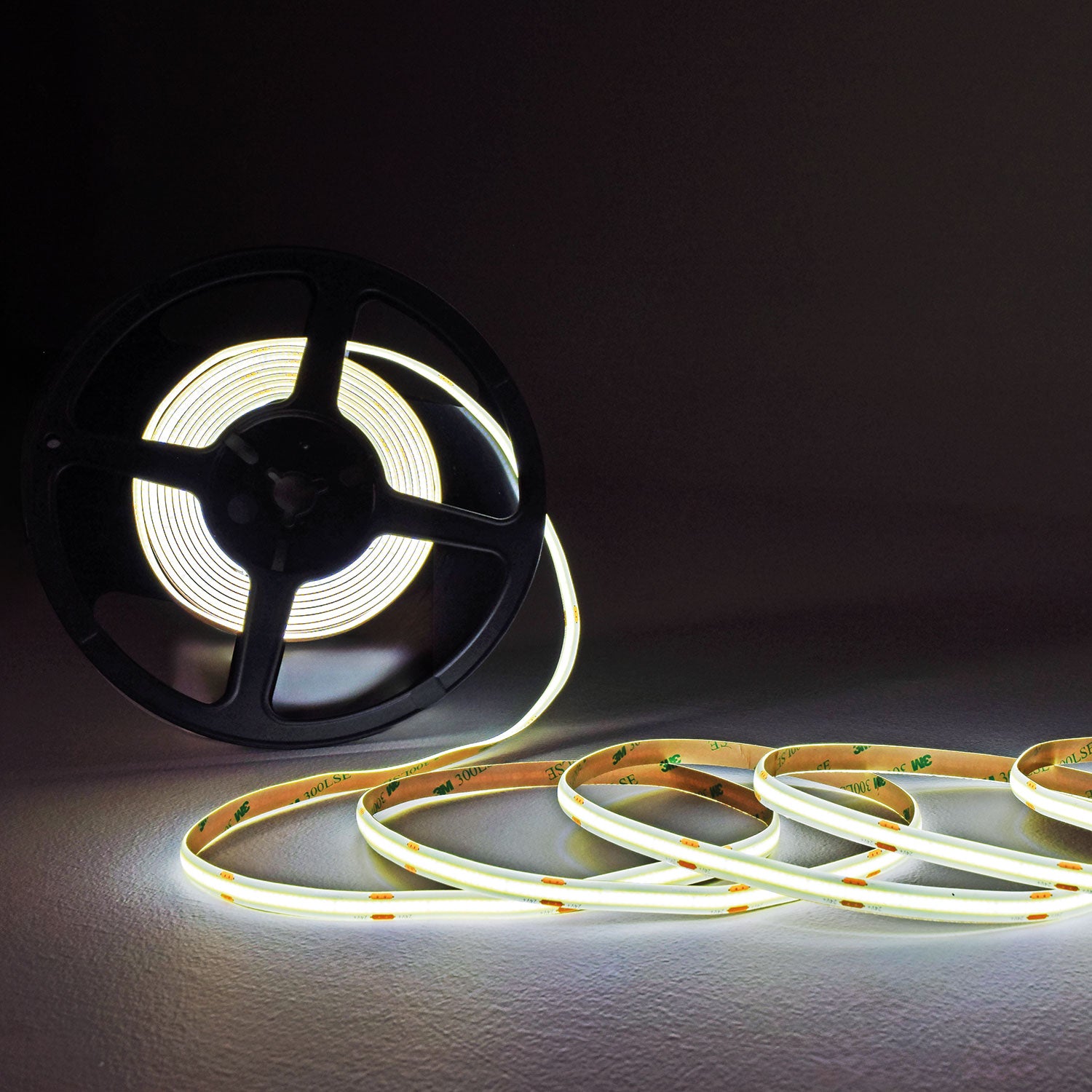 LYYT COB 24V LED Tape Kit 5m CW IP20
