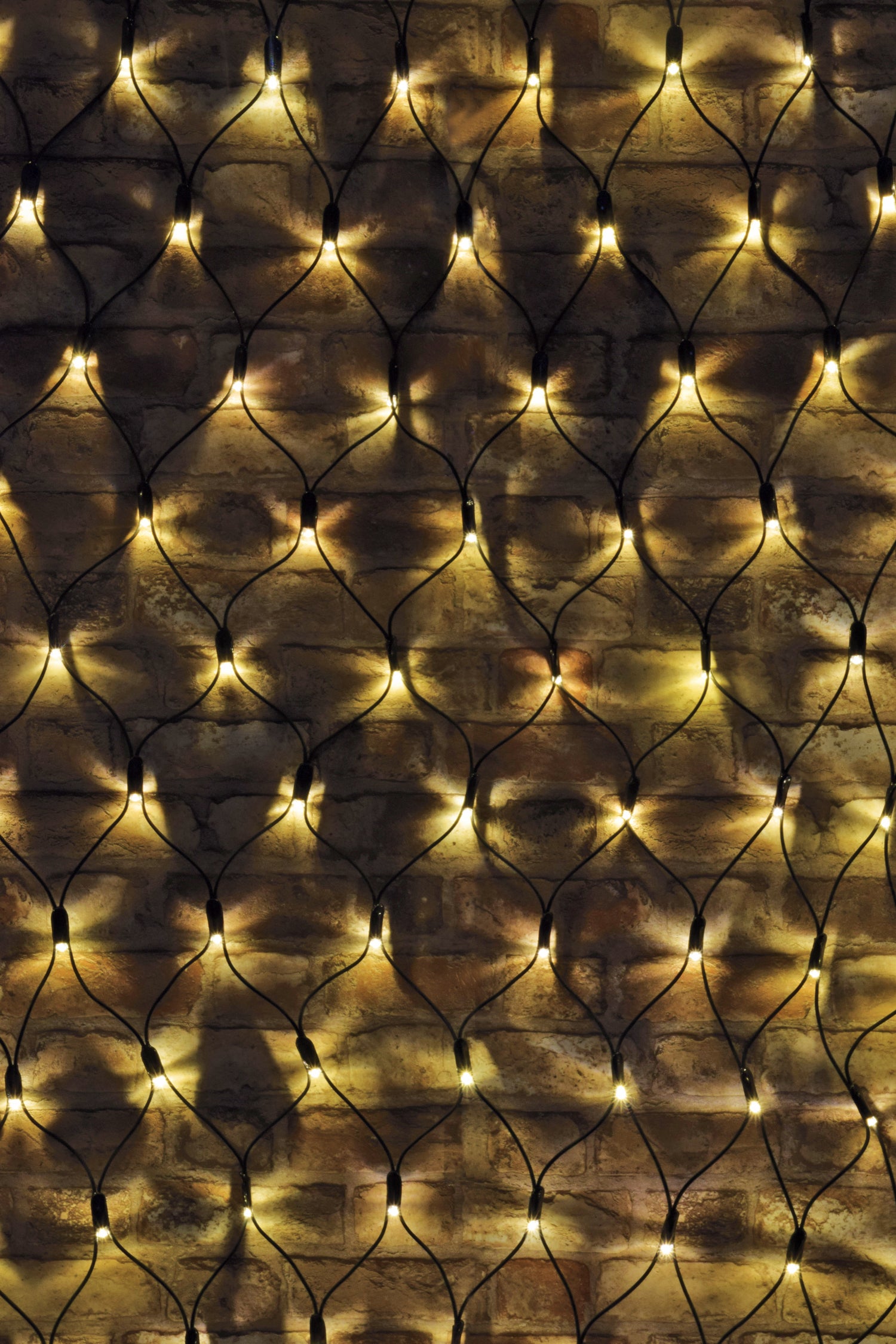 LYYT 144 LED Conn Net Light WW