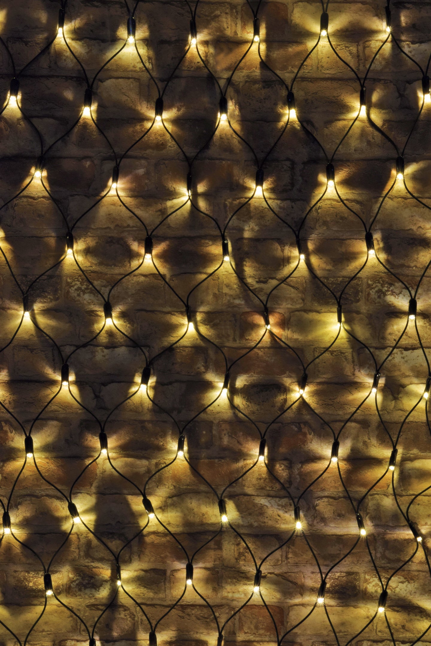 LYYT 144 LED Conn Net Light WW