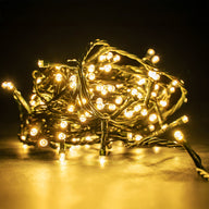 LYYT 200 LED String Lights w/Timer WW