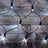 LYYT 240 LED Net Light CW wCtrl - view 4