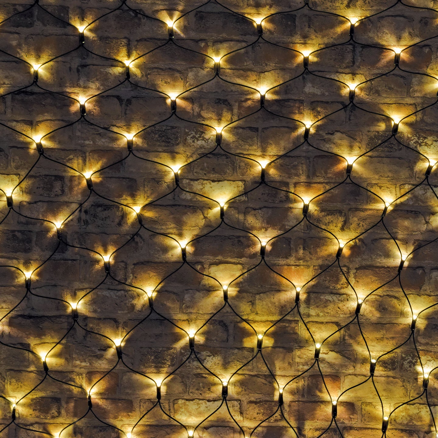 LYYT 240 LED Net light WW w/Ctrl