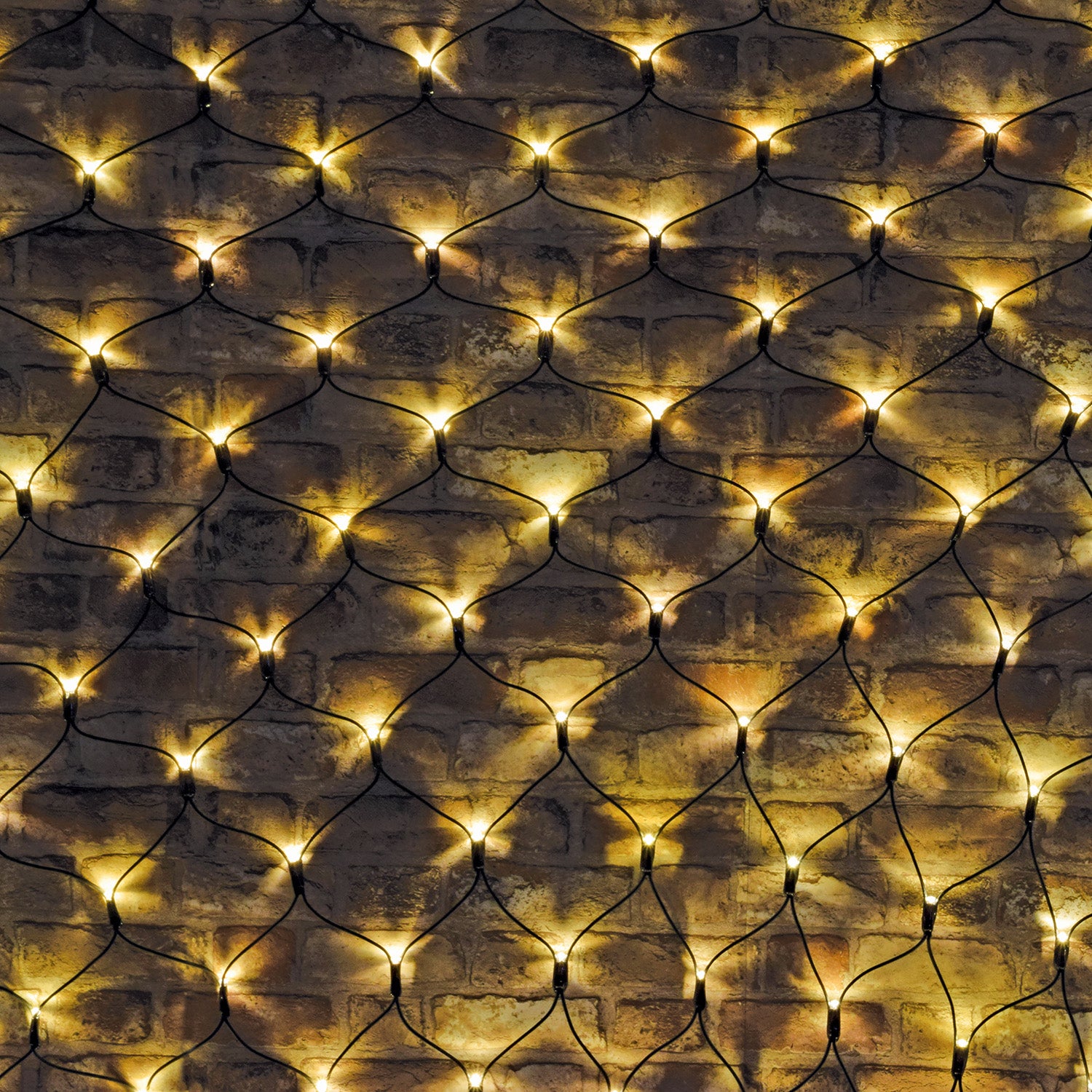 LYYT 240 LED Net light WW w/Ctrl