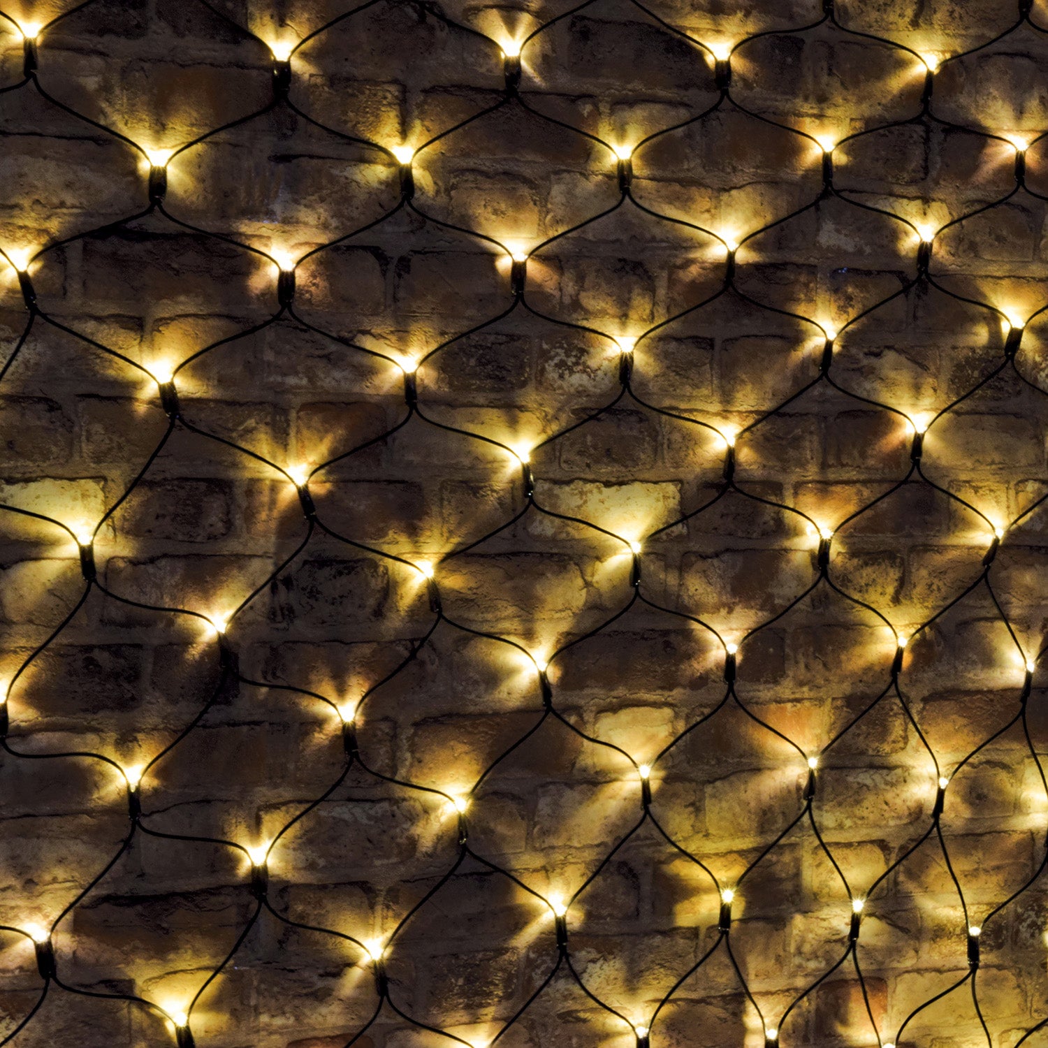 LYYT 240 LED Net light WW w/Ctrl - view 3