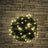 LYYT 120 LED Battery String Light Warm White - view 8