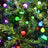 LYYT Mixed Colour Berry Remote 20m - view 4