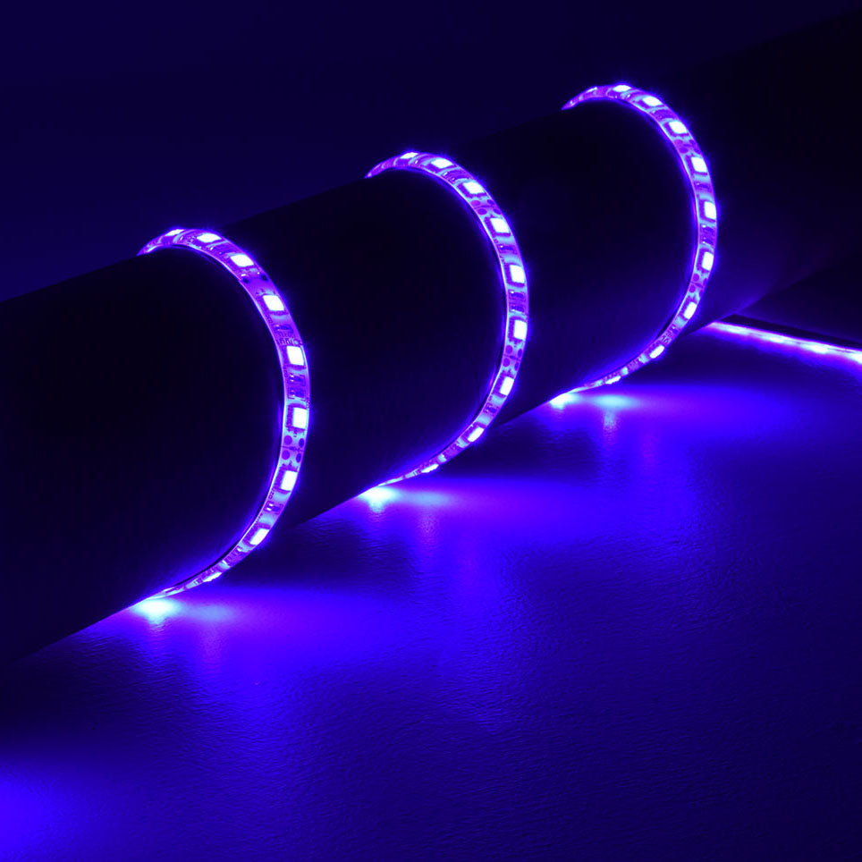 LYYT UV LED tape 12Vdc 60 LEDs per metre - view 2