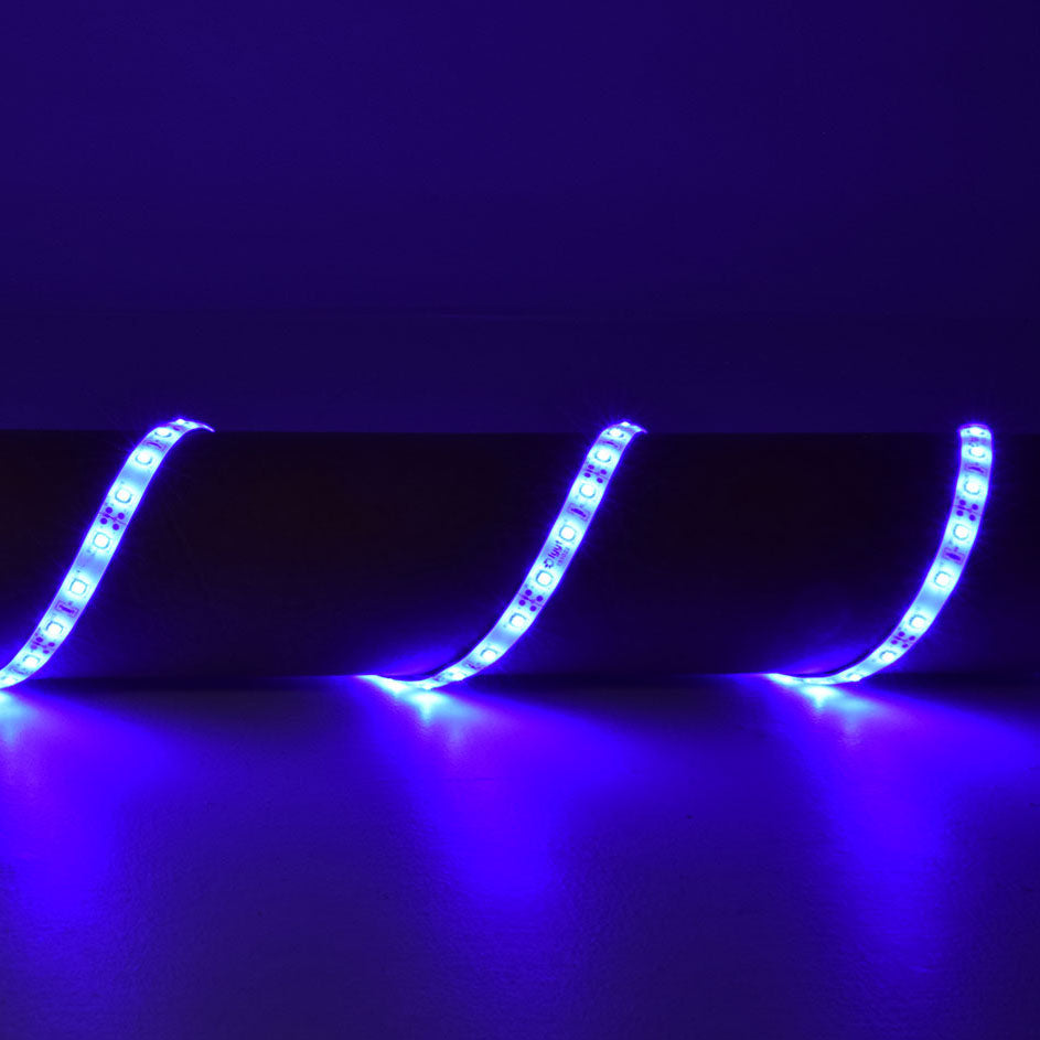 LYYT 12V LED Tape 5m - Blue