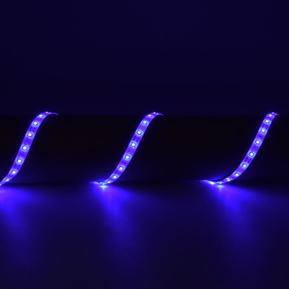 LYYT 12V LED Tape 5m - Blue - view 4