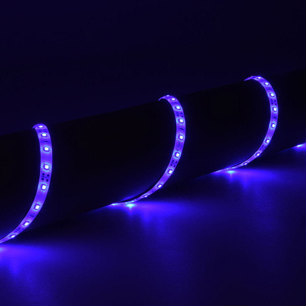 LYYT 12V LED Tape 5m - Blue - view 2