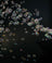 QTX QTFX-B4 Bubble machine - view 7