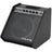 NU-X NPA-100 Monitor / Drum Amplifier