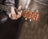 Chord Sapele compact acoustic guitar - view 21