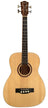 Chord BOM-40 Electro-Acoustic Short-Scale Bass