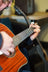 Chord Sundown Electro-Acoustic Western Guitar - Dark Zebrano - view 16