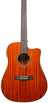Chord Sundown Electro-Acoustic Western Guitar - Dark Zebrano - view 2