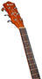 Chord Sundown Electro-Acoustic Western Guitar - Dark Zebrano - view 3