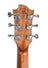 Sevinia Sevinia W41C Solid Spruce Top with Mahogany Back & Sides - view 16