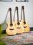 Sevinia Sevinia W41C Solid Spruce Top with Mahogany Back & Sides - view 7