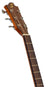 Sevinia Sevinia GA41C Solid Spruce Top with Mahogany Back & Sides - view 4