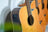 Sevinia Sevinia W41C Solid Cedar Top with Rosewood Back & Sides - view 17