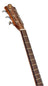 Sevinia Sevinia GA41C Solid Cedar Top with Rosewood Back & Sides - view 14