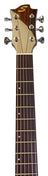 Sevinia Sevinia GA41C Solid Cedar Top with Rosewood Back & Sides - view 16