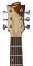 Sevinia Sevinia GA41C Solid Cedar Top with Rosewood Back & Sides - view 18