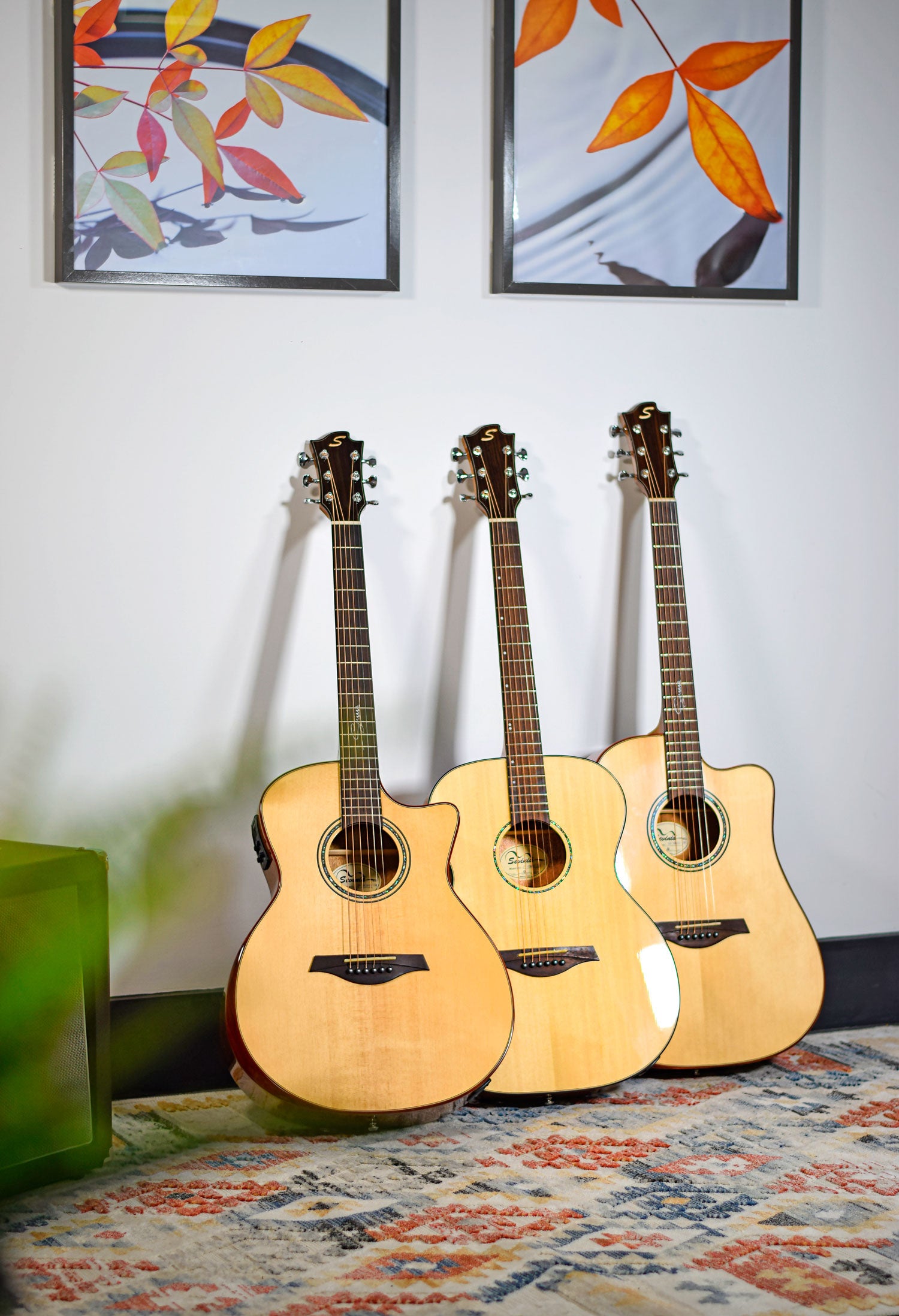 Sevinia Sevinia Solid Body Western Electro-Acoustic Guitar - view 15
