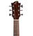 Sevinia Sevinia Solid Body Orchestra Model Electro-Acoustic Guitar - view 2