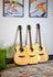 Sevinia Sevinia Solid Body Orchestra Model Electro-Acoustic Guitar - view 16