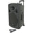 QTX QR15PA Portable PA - TWS + 2 x UHF Microphones