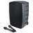 QTX Performer-12 Portable PA - 200W + 2 x Rechargeable UHF Mics