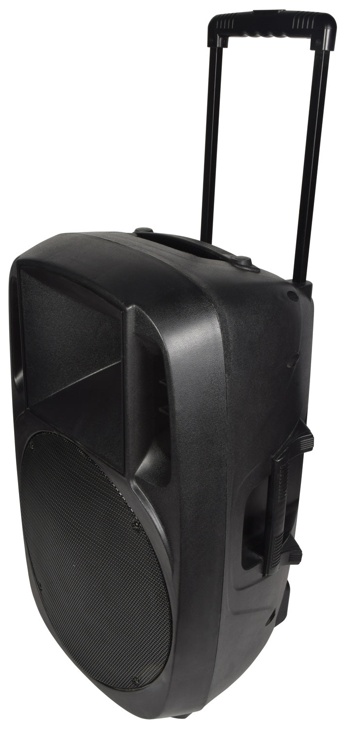 QTX XCAB-15 Moulded PA Cabinet 15" - view 2