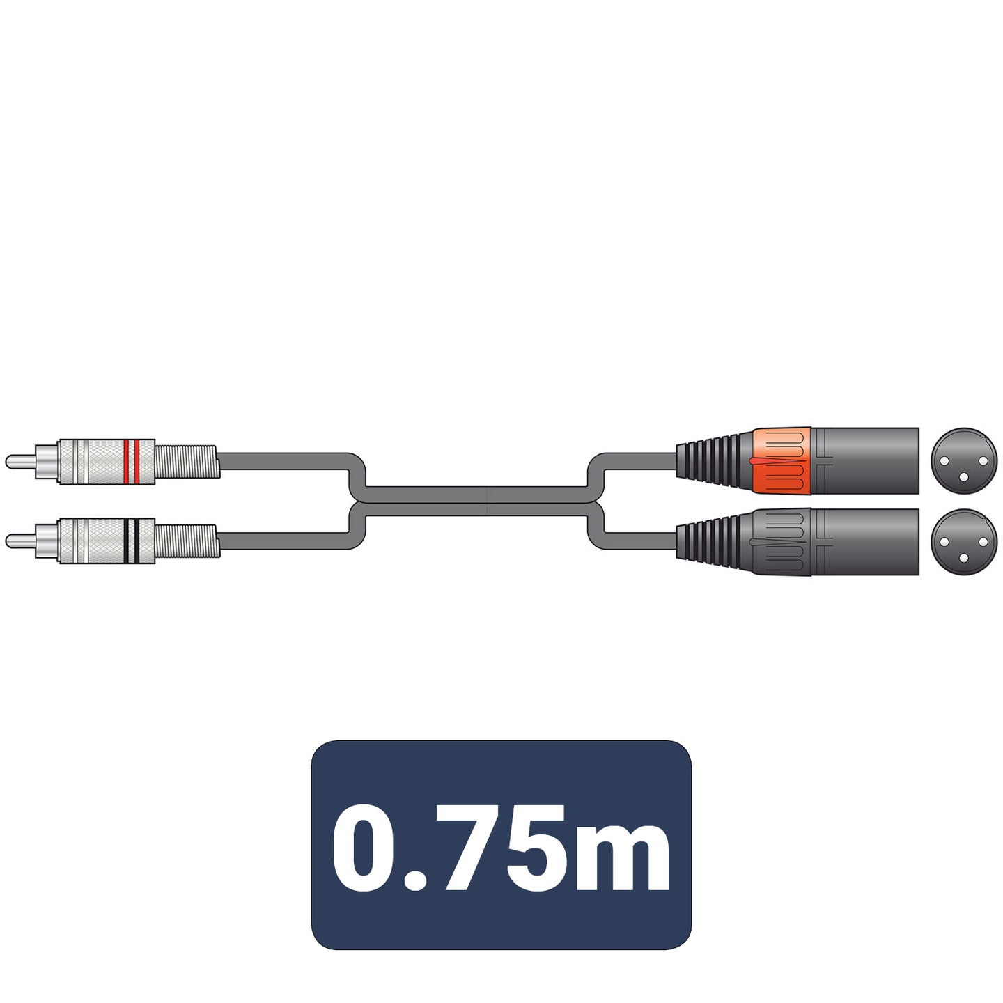 Citronic Classic Audio Lead 2 RCA Plugs - 2 XLR Male 0.75m - view 2
