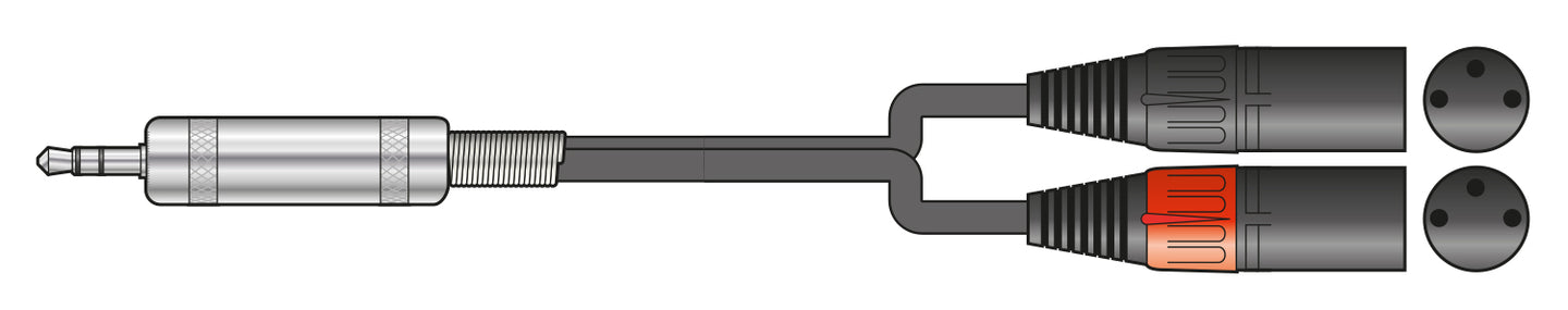 Citronic Classic 3.5mm - 2 XLRF 1m - view 2