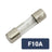 Mercury Fuse 5 x 20mm F10A Quick Blow