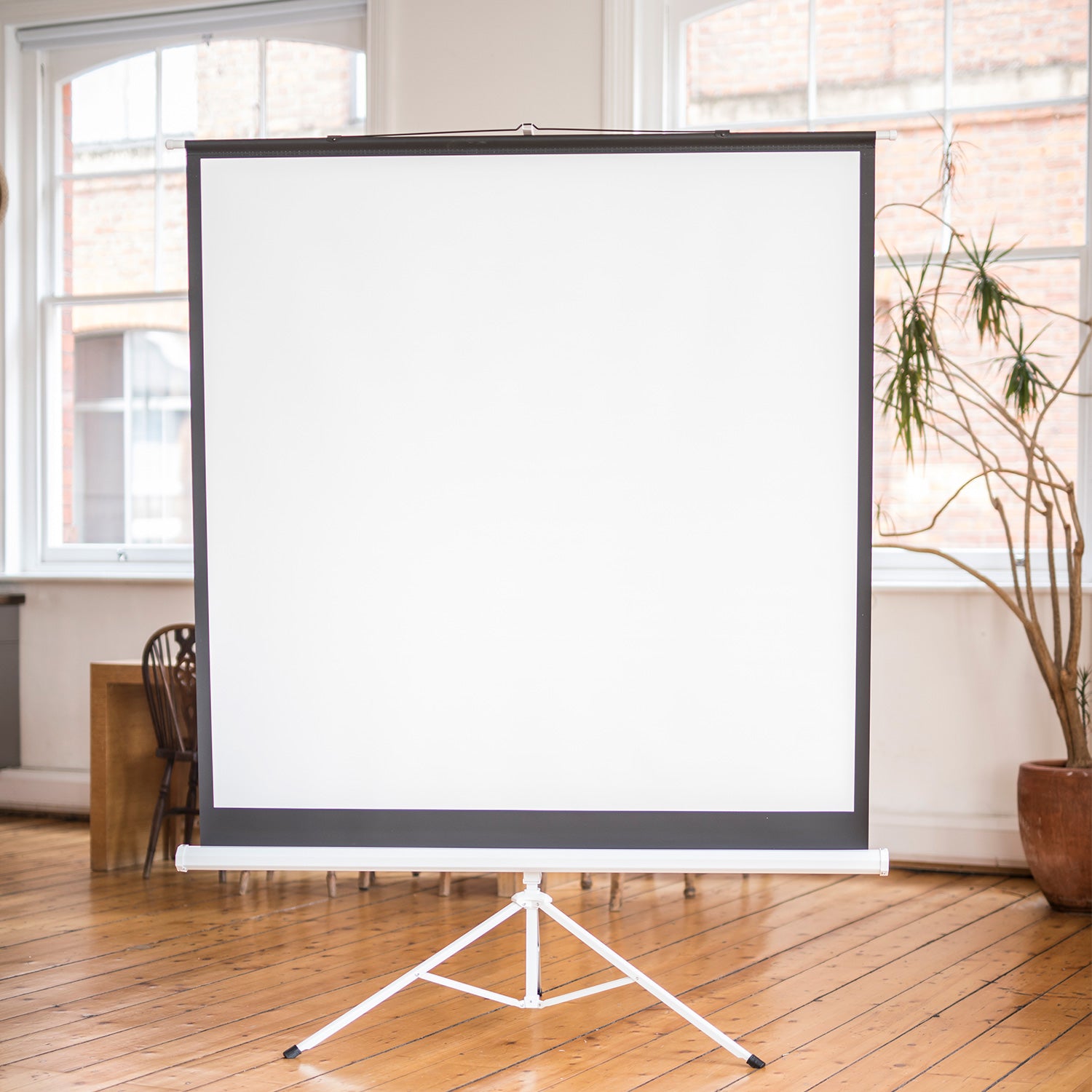 AV:Link 100" 4:3 Manual Tripod Projector Screen - view 5