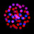 ADJ Focus CMY Compact - Alternate View 5