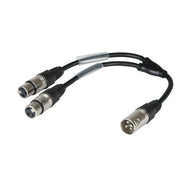 W Audio 0.25m XLR Male - 2 x XLR Female Cable - Main View