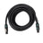 Elumen8 20m speakON NL4T TOUR 4x4mm Cable - Main View
