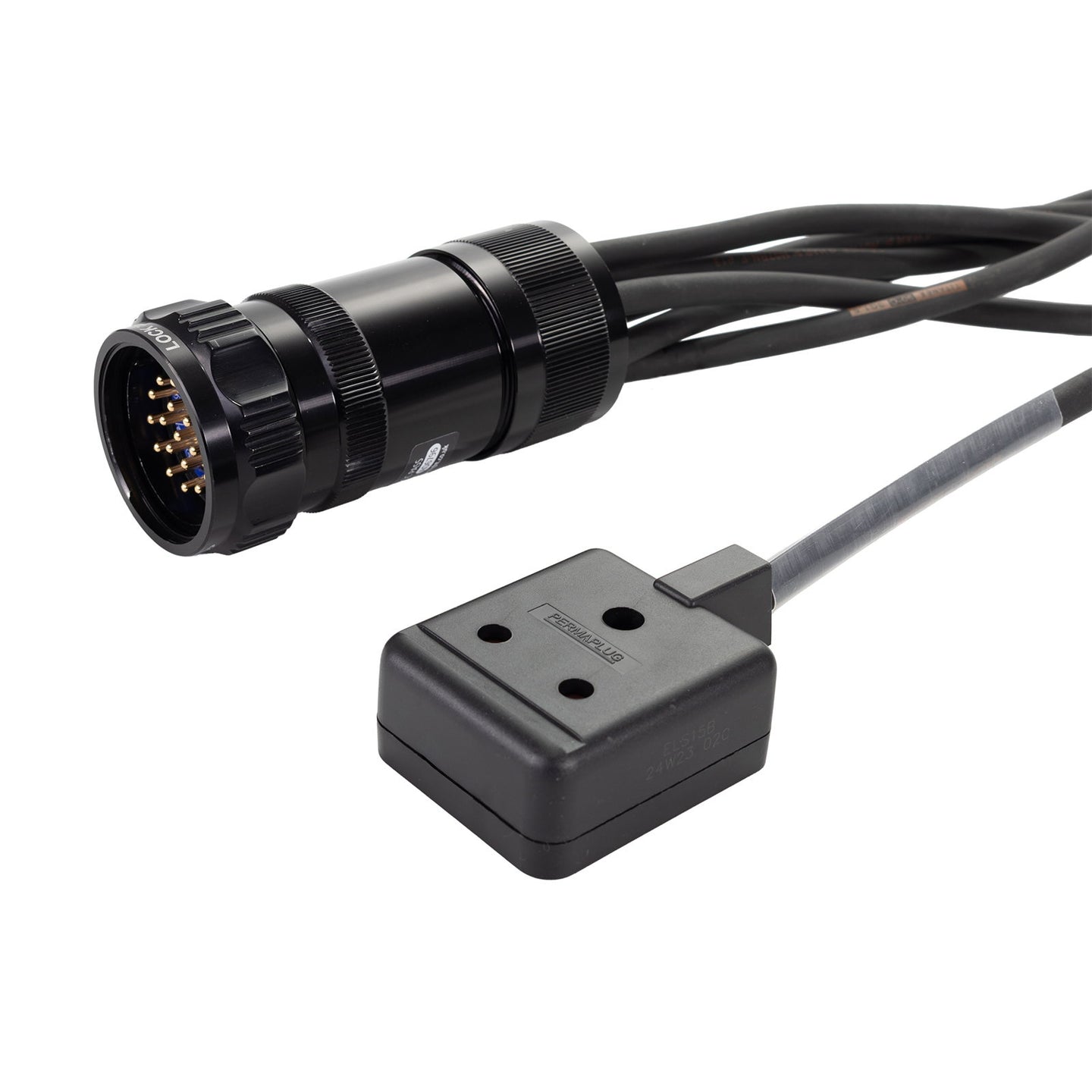 Elumen8 Socapex 19-Pin Male - 15A Female 1.5mm Staggered Fan-Out Cable - Main View