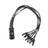 Elumen8 Socapex 19-Pin Male - powerCON TRUE1 1.5mm Fan-Out Cable - Back Panel and Connections